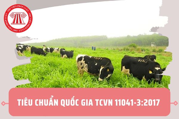 Tiêu chuẩn quốc gia TCVN 11041-3:2017 về chăn nuôi hữu cơ như thế nào? Nguyên tắc chăn nuôi hữu cơ là gì?
