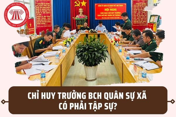 Chỉ huy trưởng Ban Chỉ huy Quân sự xã có phải thực hiện chế độ tập sự của công chức cấp xã không?