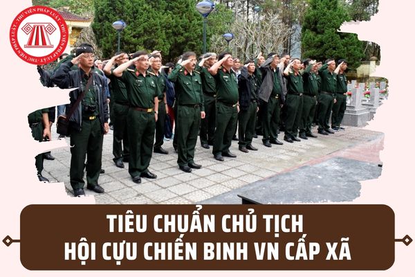 Tiêu chuẩn Chủ tịch Hội Cựu chiến binh Việt Nam cấp xã 2023 theo Nghị định 33/2023/NĐ-CP ra sao?