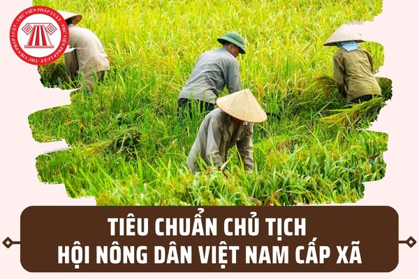 Tiêu chuẩn Chủ tịch Hội Nông dân Việt Nam cấp xã 2023 theo quy định mới tại Nghị định 33/2023/NĐ-CP?