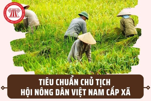 Tiêu chuẩn Chủ tịch Hội Nông dân Việt Nam cấp xã 2023 theo quy định mới tại Nghị định 33/2023/NĐ-CP?