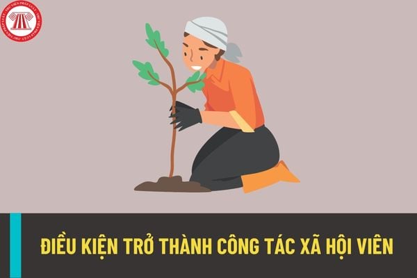 Điều kiện trở thành công tác xã hội viên là gì? Viên chức xét thăng hạng công tác xã hội viên cần đáp ứng yêu cầu nào?