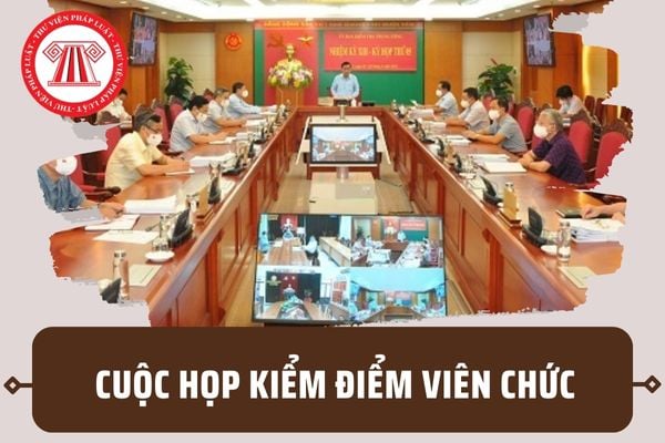 Cuộc họp kiểm điểm viên chức vi phạm tiến hành thế nào? Trách nhiệm tổ chức cuộc họp kiểm điểm ra sao?