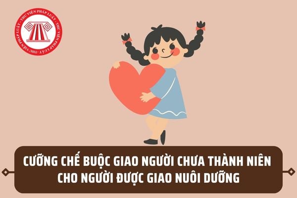 Mẫu Quyết định cưỡng chế buộc giao người chưa thành niên cho người được giao nuôi dưỡng ra sao?