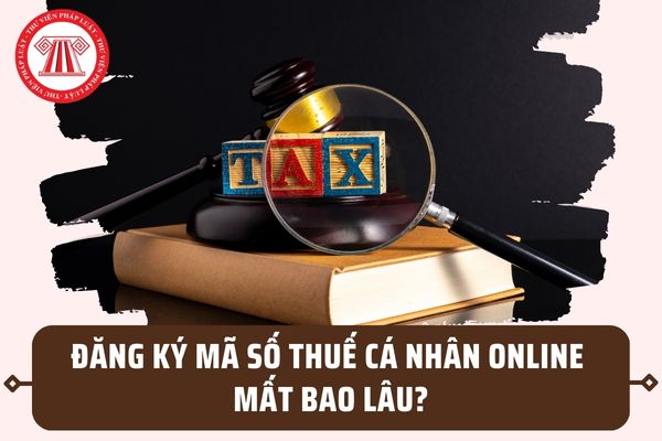 Đăng ký mã số thuế cá nhân online mất bao lâu? Một người được cấp bao nhiêu mã số thuế theo quy định?