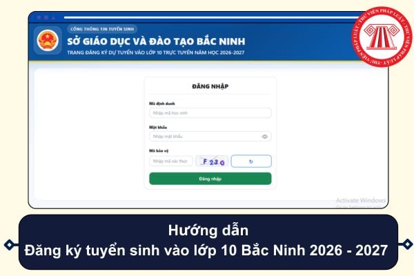 Pháp luật