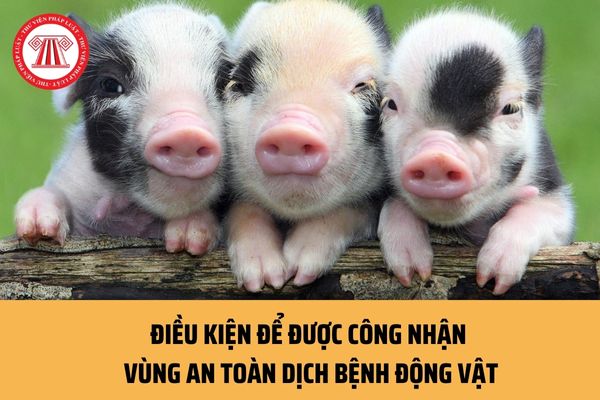 Điều kiện để được công nhận vùng an toàn dịch bệnh động vật là gì? Thời hạn giải quyết hồ sơ công nhận vùng an toàn dịch bệnh động vật là bao lâu?