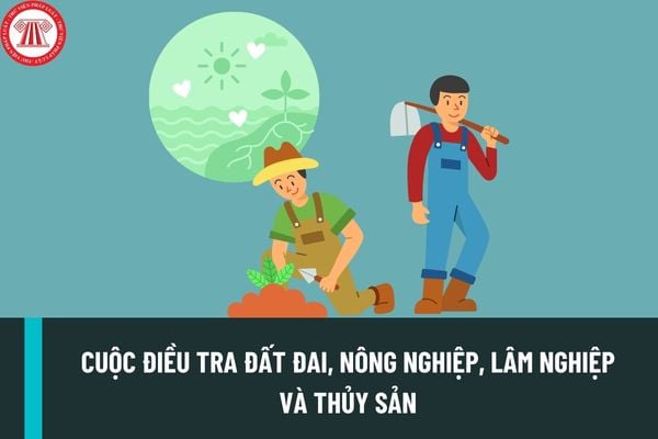 Có mấy cuộc điều tra đất đai, nông nghiệp, lâm nghiệp và thủy sản được thực hiện? Thời gian điều tra như thế nào?