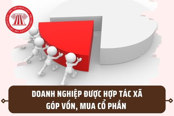 Doanh nghiệp được góp vốn, mua cổ phần có được trở thành thành viên chính thức của hợp tác xã, liên hiệp hợp tác xã không?