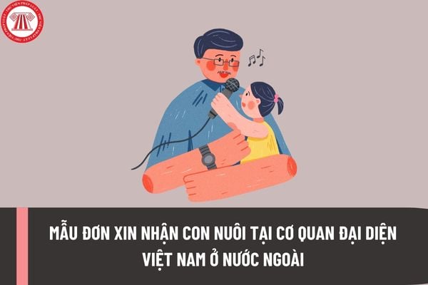 Mẫu Đơn xin nhận con nuôi tại cơ quan đại diện Việt Nam ở nước ngoài của công dân Việt Nam tạm trú tại nước ngoài ra sao?