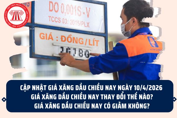 Pháp luật