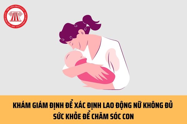 Hồ sơ khám giám định để xác định lao động nữ không đủ sức khỏe để chăm sóc con sau sinh bao gồm những gì?