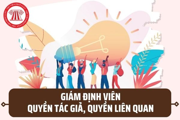 Giám định viên quyền tác giả, quyền liên quan có những quyền và nghĩa vụ gì theo quy định mới nhất?