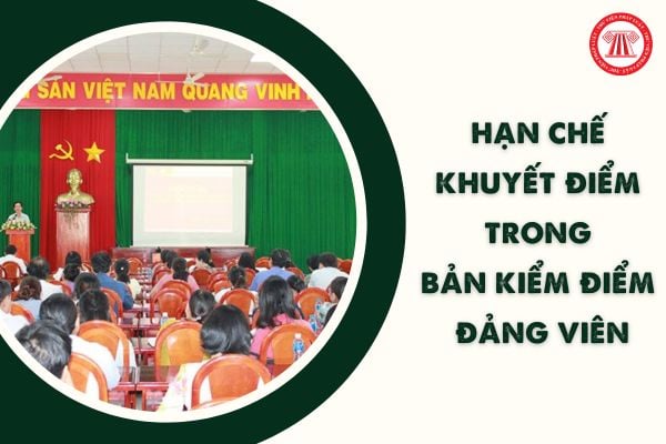 Cách viết hạn chế khuyết điểm trong Bản kiểm điểm Đảng viên cuối năm 2023 Mẫu 02 theo Hướng dẫn 25?