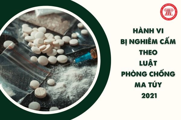 12 Hành vi bị nghiêm cấm theo Luật Phòng chống ma túy 2021 gồm những hành vi nào? Trách nhiệm của cá nhân, gia đình ra sao?