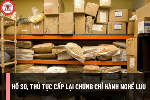 Hồ sơ, thủ tục cấp lại Chứng chỉ hành nghề lưu trữ gồm những nội dung gì theo quy định hiện nay?