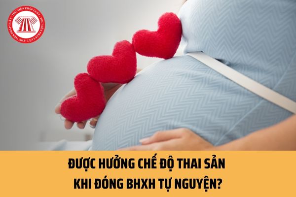 Được hưởng chế độ thai sản khi đóng BHXH tự nguyện? Sẽ mở rộng chế độ đối với người tham gia BHXH tự nguyện đúng không?