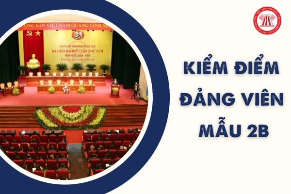 Tải Mẫu Bản kiểm điểm Đảng viên năm 2023 Mẫu 2B ở đâu? Mẫu Kiểm điểm 2B áp dụng cho đối tượng nào?