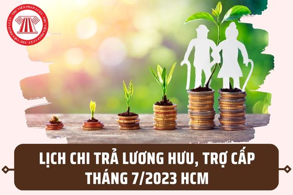 Lịch chi trả lương hưu, trợ cấp BHXH tháng 7/2023 tại TP Hồ Chí Minh? Có mấy hình thức chi trả?