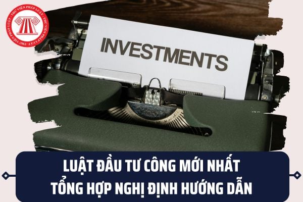 Pháp luật
