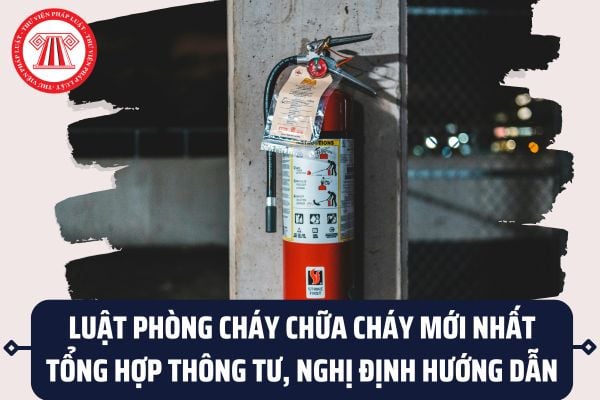 Pháp luật