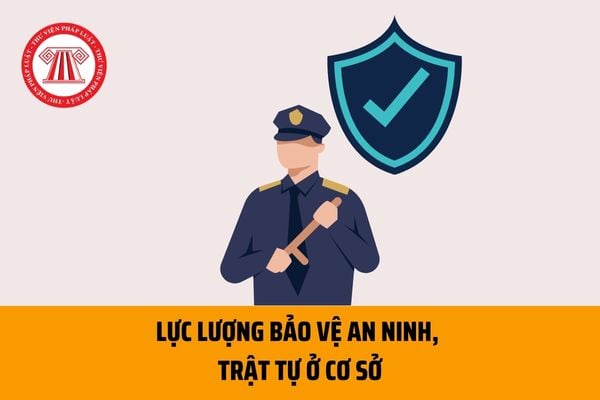 Những ai sẽ được tham gia vào lực lượng bảo vệ an ninh, trật tự ở cơ sở theo Dự thảo Luật Lực lượng tham gia bảo vệ an ninh, trật tự ở cơ sở?