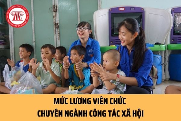 Từ ngày 28/01/2023: Lương viên chức chuyên ngành công tác xã hội được xếp ra sao theo quy định mới?