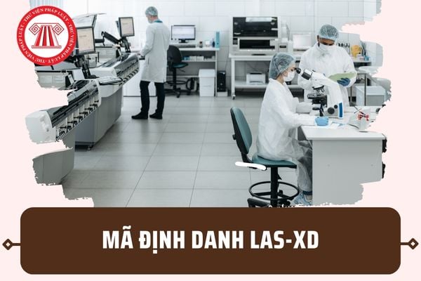 Mã định danh phòng thí nghiệm LAS-XD 63 tỉnh thành? Tải File danh sách mã phòng LAS-XD tại đâu?