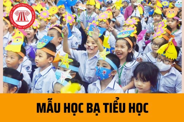 Mẫu học bạ tiểu học mới nhất 2023? Hướng dẫn cách ghi học bạ tiểu học chi tiết theo Thông tư 27?