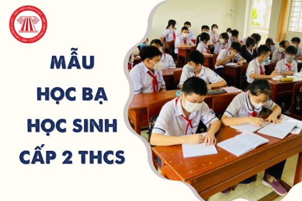 Mẫu học bạ Trung học cơ sở mới nhất 2024 năm 2023 - 2024 theo Thông tư 22 của Bộ Giáo dục ra sao?