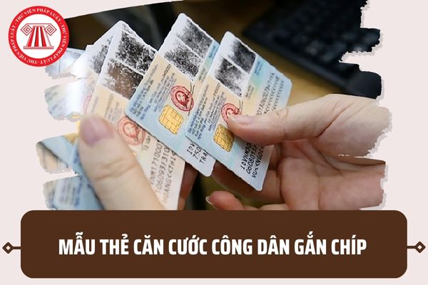 Mẫu thẻ căn cước công dân gắn chíp mới nhất 2023 ra sao? Thẻ CCCD gắn chíp có những thông tin gì?