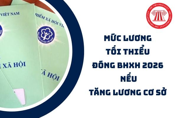 Pháp luật