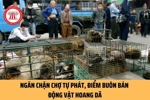 Cần ngăn chặn chợ tự phát buôn bán động vật hoang dã trong công tác phòng, chống tội phạm về đa dạng sinh học?