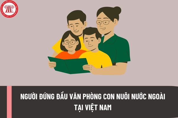 Người đứng đầu Văn phòng con nuôi nước ngoài tại Việt Nam có bắt buộc là người Việt nam hay không?
