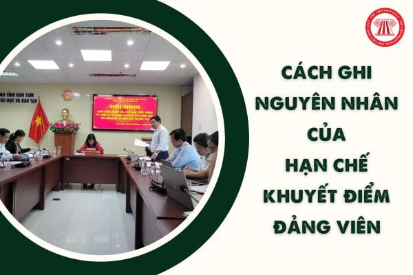 Cách viết nguyên nhân của hạn chế khuyết điểm Đảng viên trong Bản tự kiểm điểm Đảng viên cuối năm 2023?