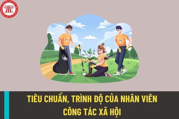 Nhân viên công tác xã hội phải đáp ứng tiêu chuẩn nào? 06 nhiệm vụ của nhân viên công tác xã hội là gì?