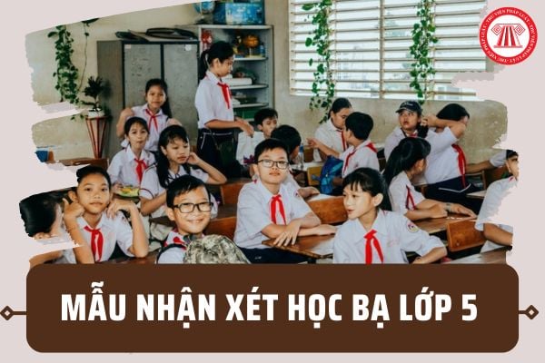 Mẫu nhận xét học bạ lớp 5 theo Thông tư 27 mới nhất 2024? Tải Mẫu học bạ lớp 5 theo Thông tư 27 ở đâu?