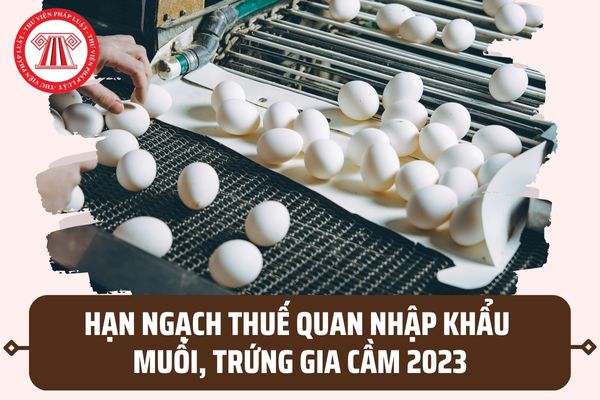 Hạn ngạch thuế quan nhập khẩu muối, trứng gia cầm năm 2023 ra sao? Tải Bảng lượng hạn ngạch tại đâu?