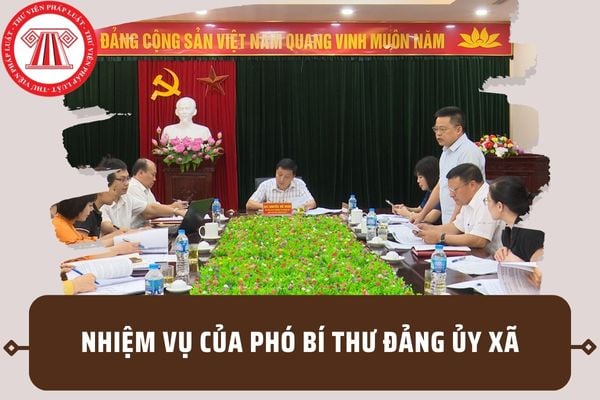 Nhiệm vụ của Phó Bí thư Đảng ủy xã là gì? Phó Bí thư Đảng ủy có được hưởng phụ cấp chức vụ không?