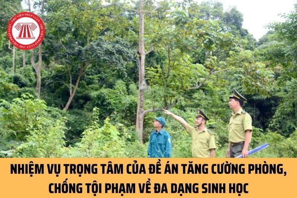 Đề án Tăng cường phòng, chống tội phạm về đa dạng sinh học đến năm 2030, tầm nhìn 2050 có bao nhiêu nhiệm vụ, giải pháp trọng tâm?