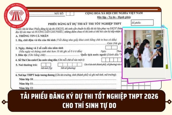 Pháp luật