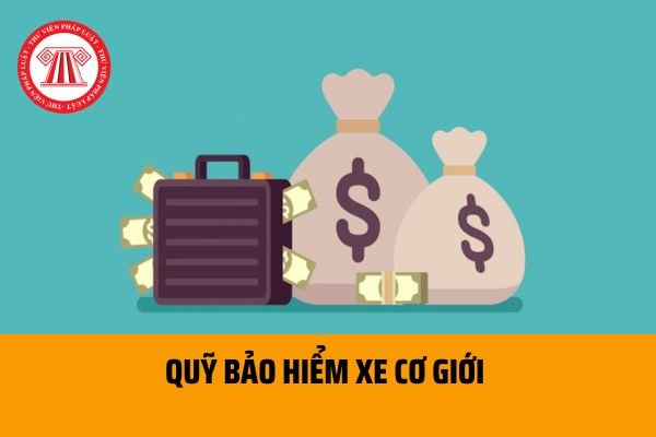 Quỹ bảo hiểm xe cơ giới là gì? Quỹ bảo hiểm xe cơ giới được hình thành từ những nguồn nào theo quy định hiện nay?