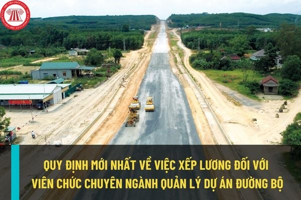 Quy định mới nhất về việc xếp lương đối với viên chức chuyên ngành quản lý dự án đường bộ từ ngày 01/03/2023?