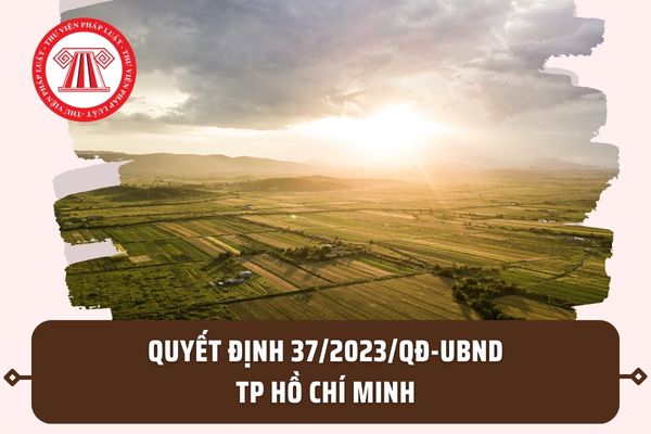 Quyết định 37/2023/QĐ-UBND về danh mục các thửa đất nhỏ hẹp trên địa bàn Thành phố Hồ Chí Minh ra sao?