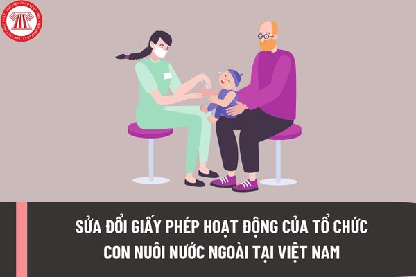 Thủ tục sửa đổi giấy phép hoạt động của tổ chức con nuôi nước ngoài tại Việt Nam do thay đổi người đứng đầu Văn phòng ra sao?