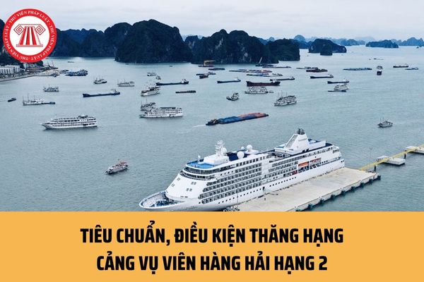 Cần công tác mấy năm để được thăng hạng Cảng vụ viên hàng hải hạng 2? Tiêu chuẩn, điều kiện dự thi thăng hạng ra sao?