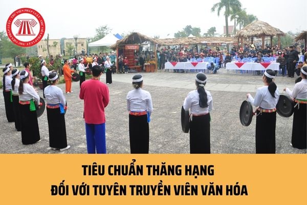 Tiêu chuẩn thăng hạng đối với tuyên truyền viên văn hóa hiện nay ra sao? Người đứng đầu đơn vị sự nghiệp công lập có trách nhiệm ra sao?