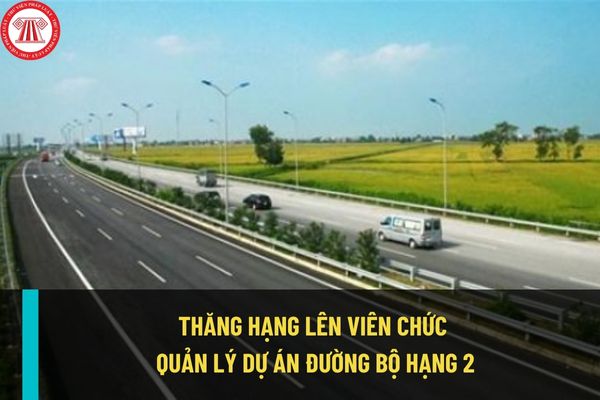 Thăng hạng lên viên chức Quản lý dự án đường bộ hạng 2 cần những tiêu chuẩn, điều kiện như thế nào?