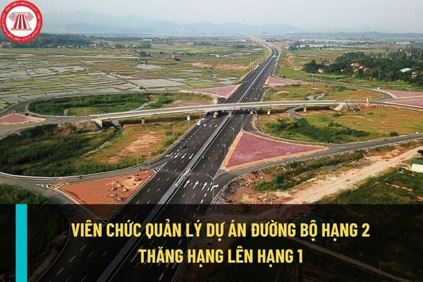 Viên chức Quản lý dự án đường bộ hạng 2 muốn thăng hạng lên hạng 1 thì cần đáp ứng điều kiện gì?