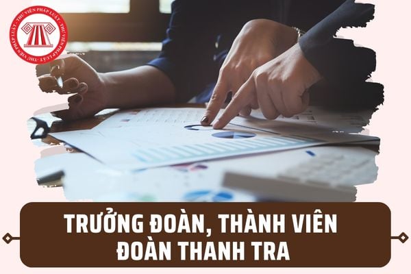 Trưởng đoàn thanh tra, thành viên Đoàn thanh tra lại có những nhiệm vụ, quyền hạn như thế nào?